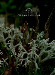 AD Lux Tenebrae : Skywards the Infinity